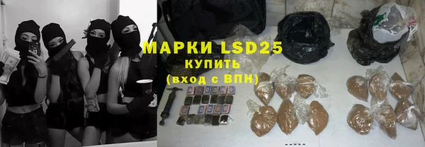 дживик Пересвет