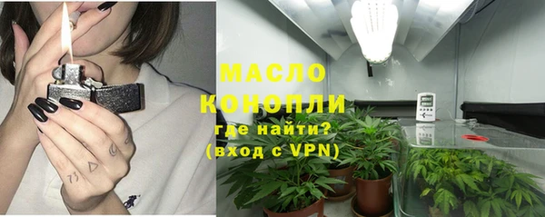 дживик Пересвет
