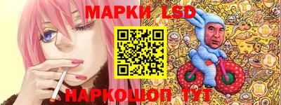 PSILOCYBIN Гатчина