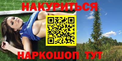 крисы Гагарин