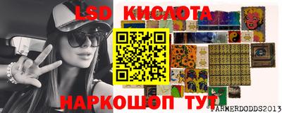 PSILOCYBIN Гатчина