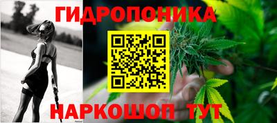 PSILOCYBIN Гатчина