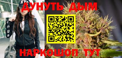 PSILOCYBIN Гатчина
