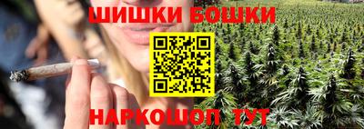 PSILOCYBIN Гатчина
