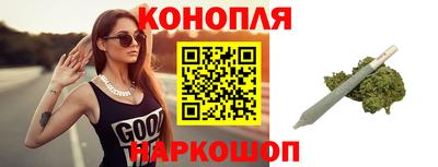 PSILOCYBIN Гатчина