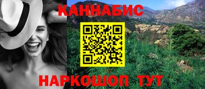 крисы Гагарин