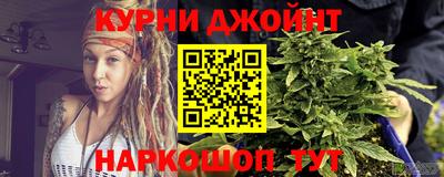 PSILOCYBIN Гатчина