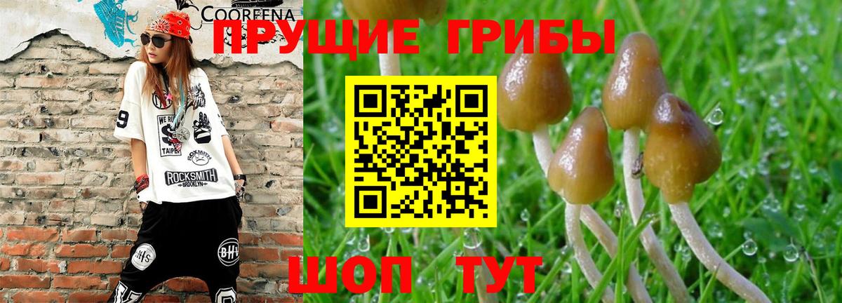 Галлюциногенные грибы мицелий Когалым